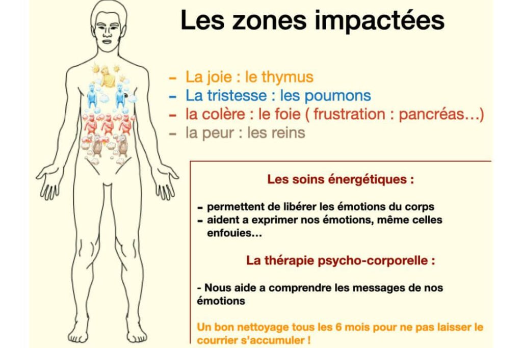 les émotions dans le corps