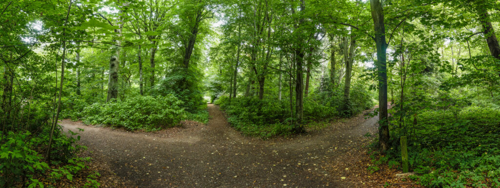Le métier de thérapeute est-il en train de changer ?